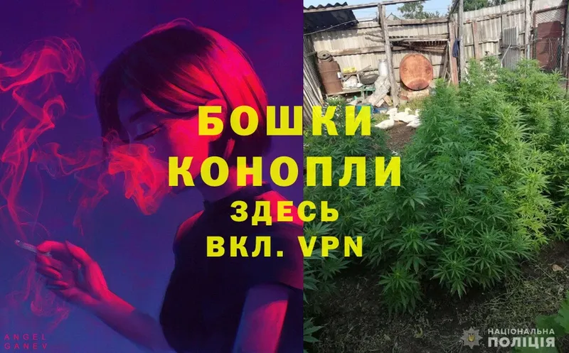 где можно купить   Кунгур  Канабис Ganja 